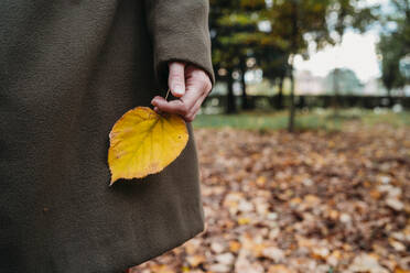 Young woman holding autumn leaf in park, cropped - CUF51434