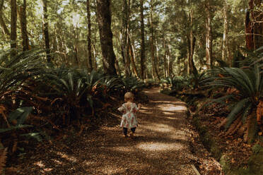 Kleines Mädchen erkundet den Wald, Queenstown, Canterbury, Neuseeland - ISF21507