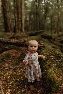 Kleines Mädchen erkundet den Wald, Queenstown, Canterbury, Neuseeland - ISF21508