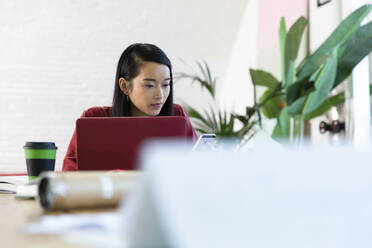 Woman using cell phone and laptop in office - FKF03346