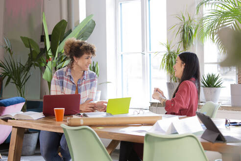 Two happy women talking at table in modern office - FKF03368