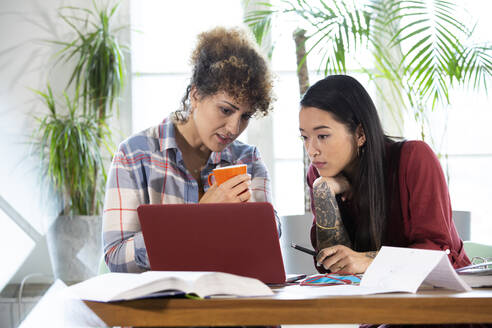 Zwei Frauen teilen sich einen Laptop am Tisch im Büro - FKF03369