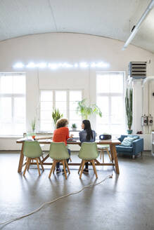 Rückansicht von zwei Frauen, die an einem Tisch in einem modernen Büro arbeiten - FKF03408