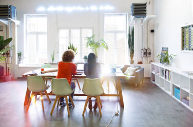 Rear view of two women working in modern office with video projector on table - FKF03410