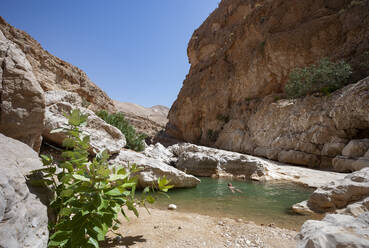 Mann beim Schwimmen in einem kleinen See im Wadi Bani Khalid, Oman - WWF05123