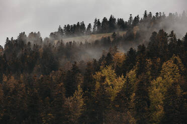 Dramatic landscape of storm clouds on Midi-Pyrenees, France - OCAF00420