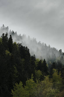 Abstrakte Landschaft der Midi-Pyrenäen, Frankreich - OCAF00422