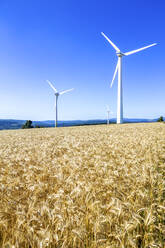 Windräder, Maisfeld, Hessen, Deutschland - PUF01628