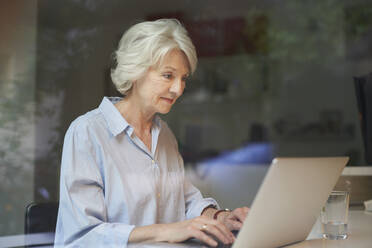 Portrait of smiling mature woman using laptop at home - PNEF01698