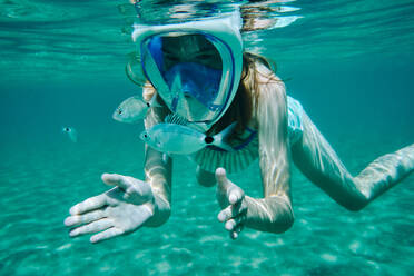 Underwater view of girl snorkelling, looking at fish, Limnos, Khios, Greece - ISF21573