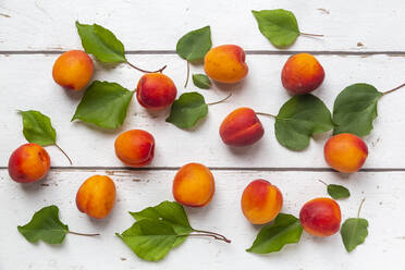 Apricots on white wood - SARF04314