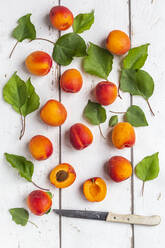 Apricots and knife on white wood - SARF04315