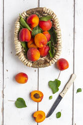 Apricots in basket, knife on white wood - SARF04317