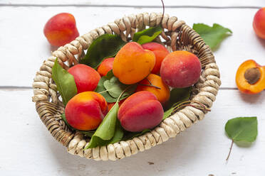 Apricots in basket on white wood - SARF04318