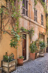 Fassade eines Hauses, Trastevere, Rom, Italien - MRF02027