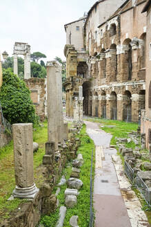 Theater des Marcellus, Rom, Italien - MRF02036