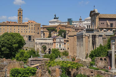 Forum Romanum, Rom, Italien - MRF02074