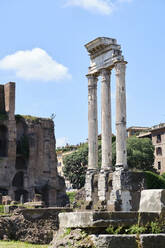 Forum Romanum, Rome, Italy - MRF02076