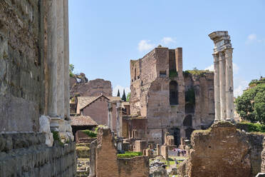 Forum Romanum, Rom, Italien - MRF02079