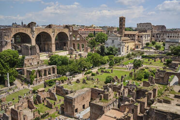 Forum Romanum, Rom, Italien - MRF02092