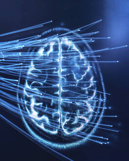 Künstliche Intelligenz, Glasfaserkabel, die Daten ins Gehirn leiten - ABRF00414
