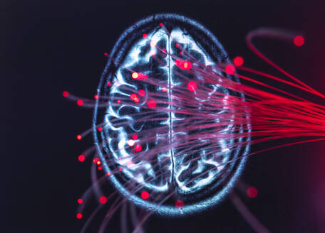 Neurowissenschaften, Glasfasern, die Daten durch das Gehirn transportieren - ABRF00415