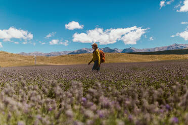 Wanderer erkundet Wiese, Wanaka, Taranaki, Neuseeland - ISF21837