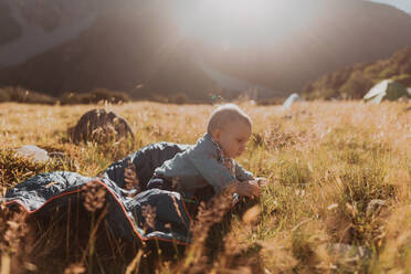 Baby auf Entdeckungsreise in der Wildnis, Wanaka, Taranaki, Neuseeland - ISF21849