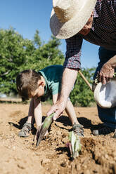 Grandfather and grandson planting vegetables in the field - JRFF03389