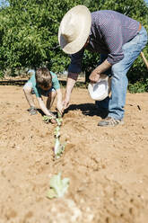 Grandfather and grandson planting vegetables in the field - JRFF03392