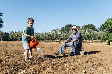 Grandfather and grandson watering freshly planted vegetables - JRFF03399