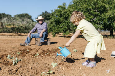 Grandfather and granddaughter watering freshly planted vegetables - JRFF03401