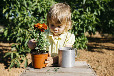 Mädchen beim Umtopfen einer Blume - JRFF03404