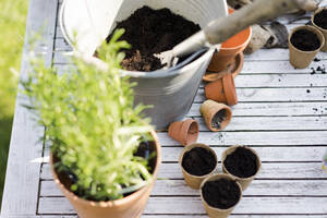 Gartenarbeitszubehör auf dem Tisch - MOEF02269