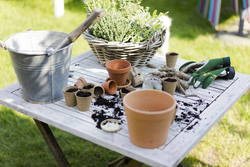 Gartenarbeitszubehör auf dem Tisch - MOEF02272