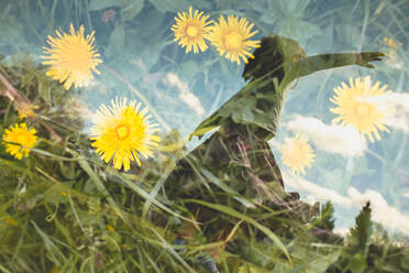 Double exposure of dancing little girl and dandelions on a meadow - IHF00147