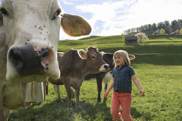 Mädchen mit Kühen auf der Weide - FBAF00824