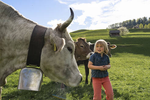 Mädchen mit Kühen auf der Weide - FBAF00825