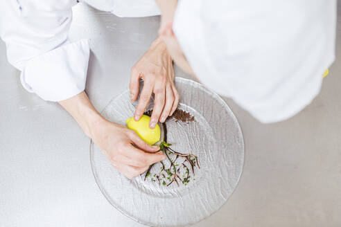 Junior chef prepairing a dessert plate - LJF00181