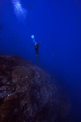 Man free diving, Revillagigedo Islands, Socorro, Baja California, Mexico - ISF21970