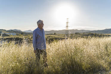 Senior man standing on a field at sunset - AFVF03463