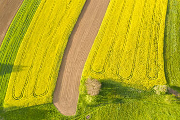 Aerial view over rape fields near Schlichten, Swabian Franconian forest, Germany - STSF02023