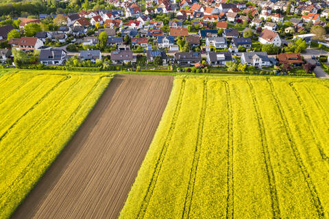 Luftaufnahme über Rapsfelder und Häuser bei Schlichten, Schwäbisch-Fränkischer Wald, Deutschland, lizenzfreies Stockfoto