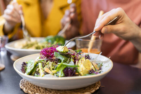 Close-up of people having healthy lunch in a restaurant - AFVF03508