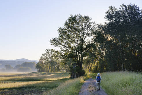 Ältere Frau wandert in voller Länge auf einem Fußweg in Richtung Wald, Bayern, Deutschland - SIEF08718