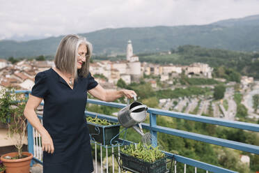 Lächelnde ältere Frau beim Gießen von Pflanzen auf ihrer Dachterrasse, Belluno, Italien - ALBF00893