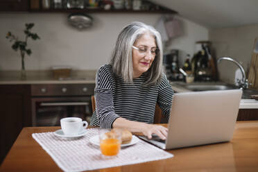 Porträt einer älteren Frau mit Laptop am Frühstückstisch - ALBF00895