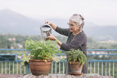 Lächelnde ältere Frau beim Gießen von Pflanzen auf ihrer Dachterrasse, Belluno, Italien - ALBF00900