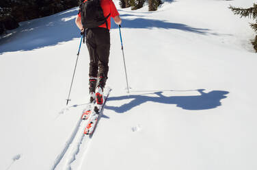 Älterer männlicher Skifahrer, der in einem schneebedeckten Berg aufsteigt, Nacken nach unten, Rückansicht, Steiermark, Tirol, Österreich - CUF51720