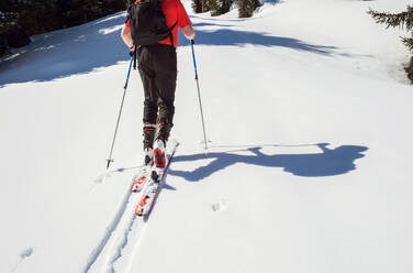 Mature male skier moving up in snow covered mountain, neck down rear view, Styria, Tyrol, Austria - CUF51720